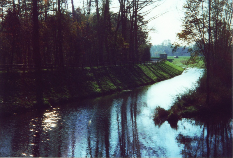 Datei:Zwillaue.jpg