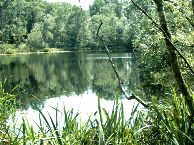 Datei:Karls moor.jpg